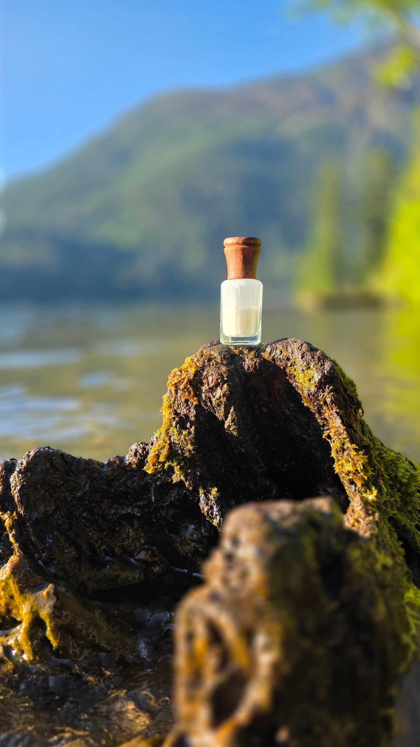 Silk Musk — Attar Perfume Oil │ 6ml
