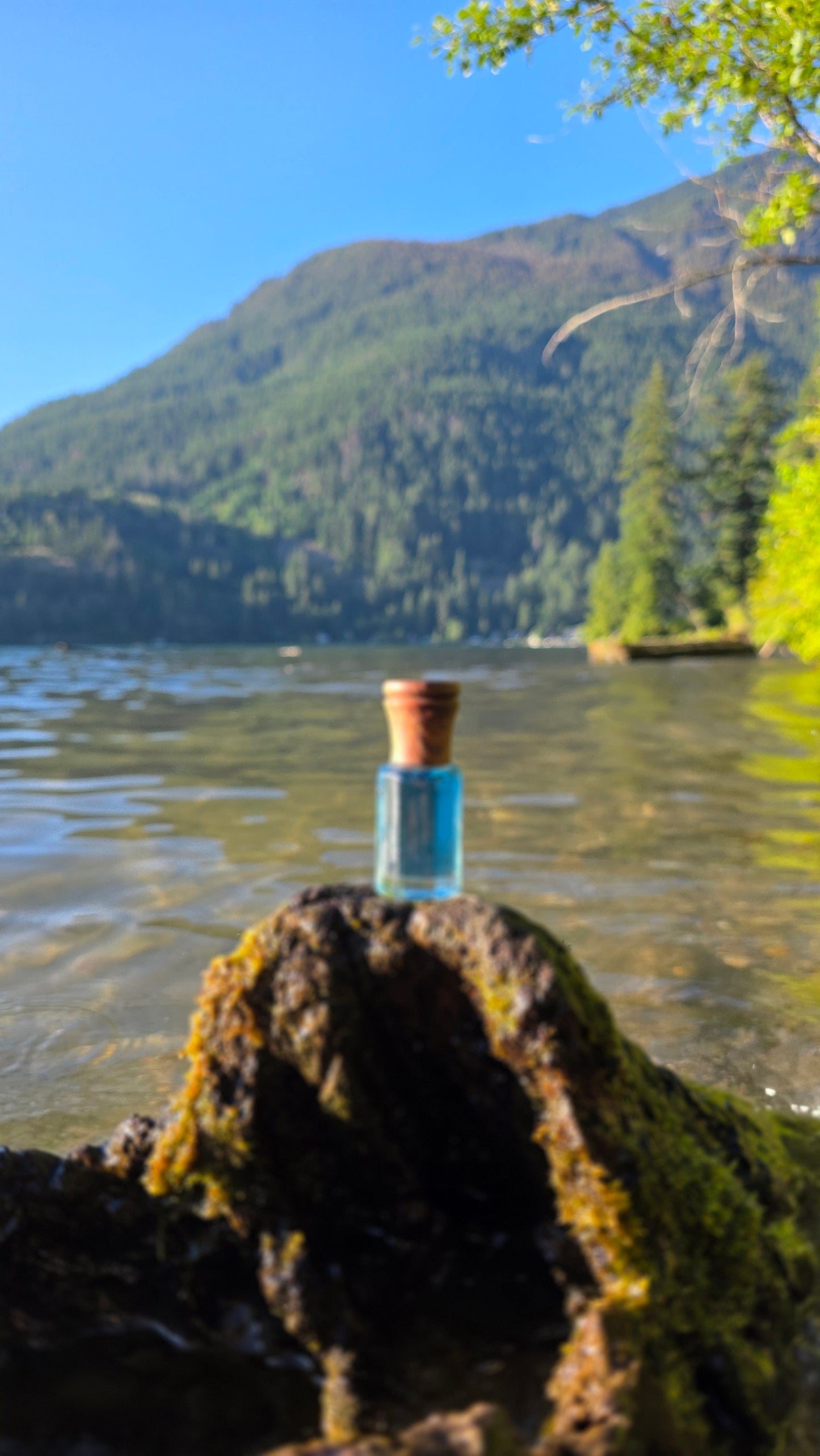 Spectral Fresh — Attar Perfume Oil │ 6ml