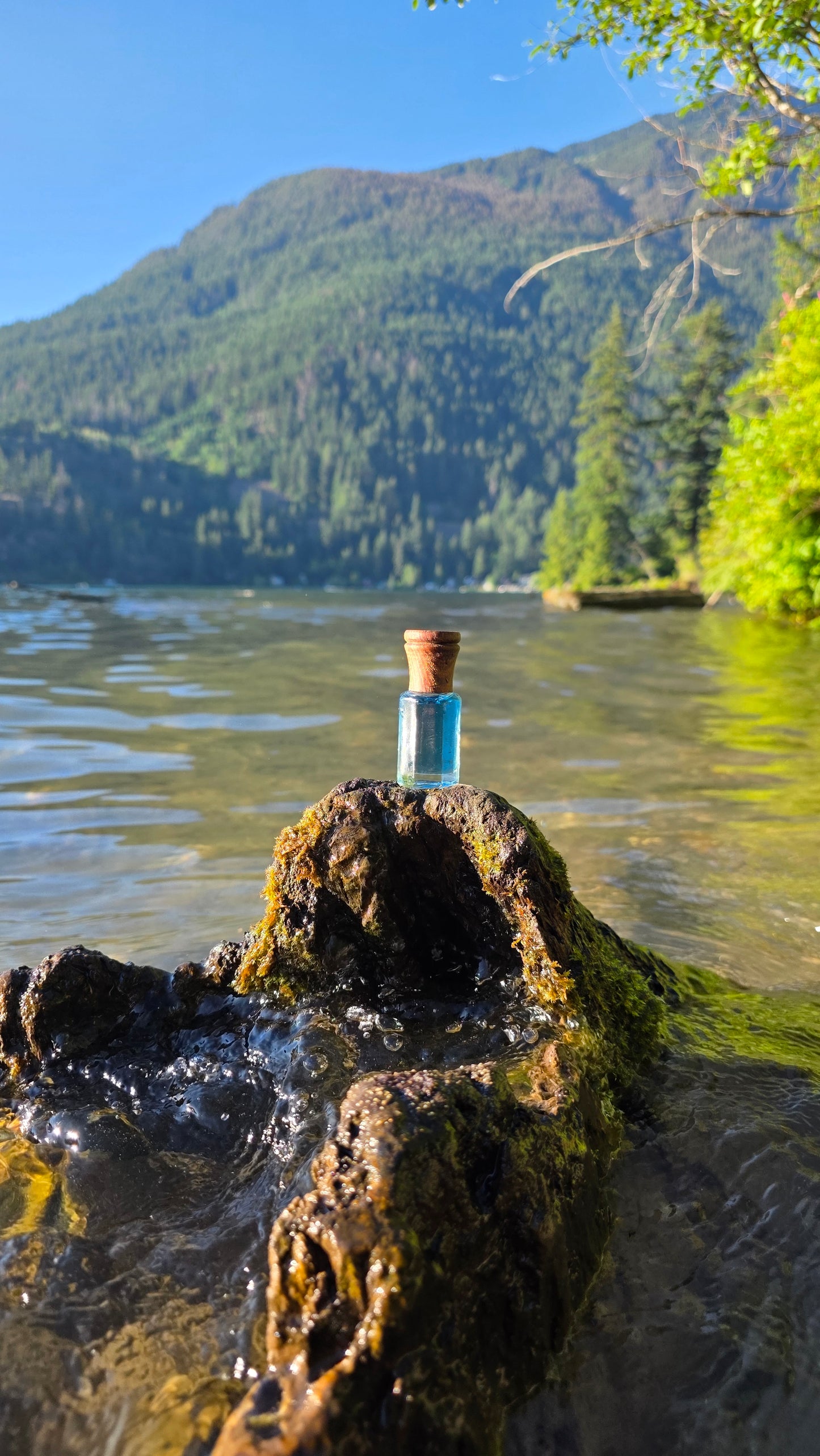 Spectral Fresh — Attar Perfume Oil │ 6ml