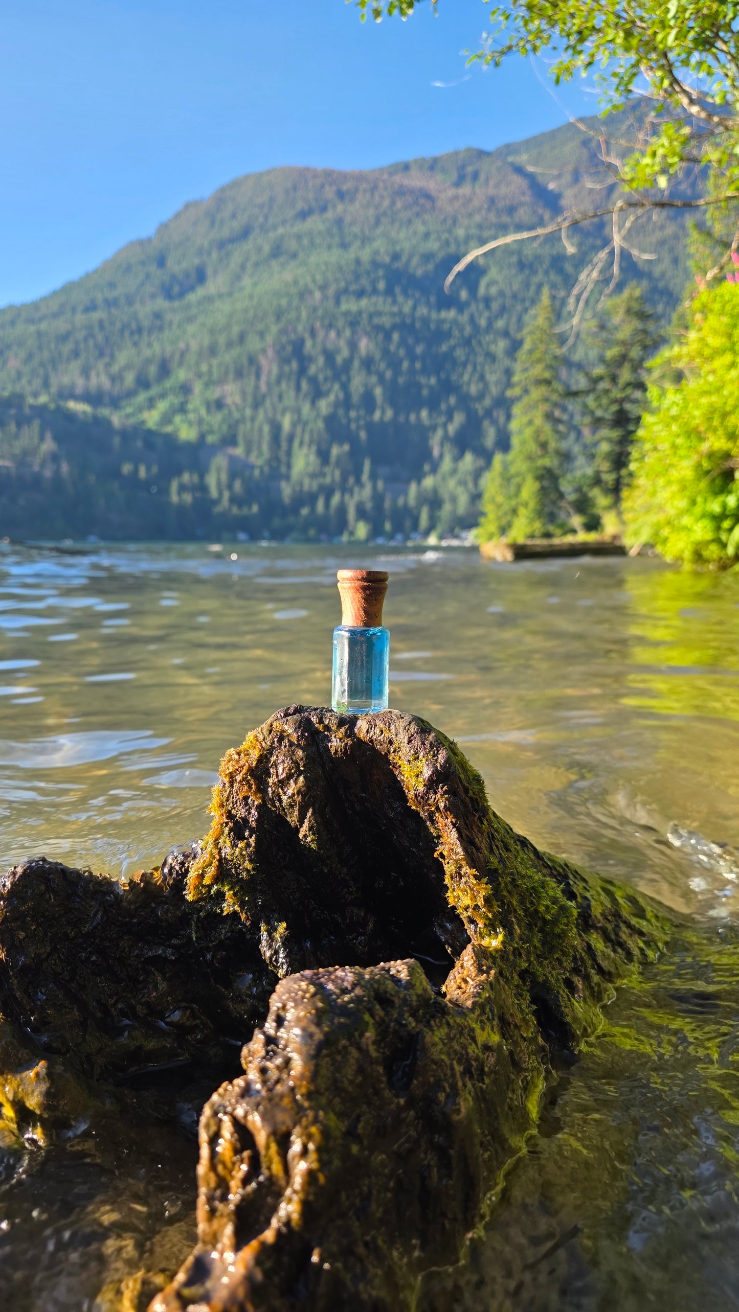 Spectral Fresh — Attar Perfume Oil │ 6ml