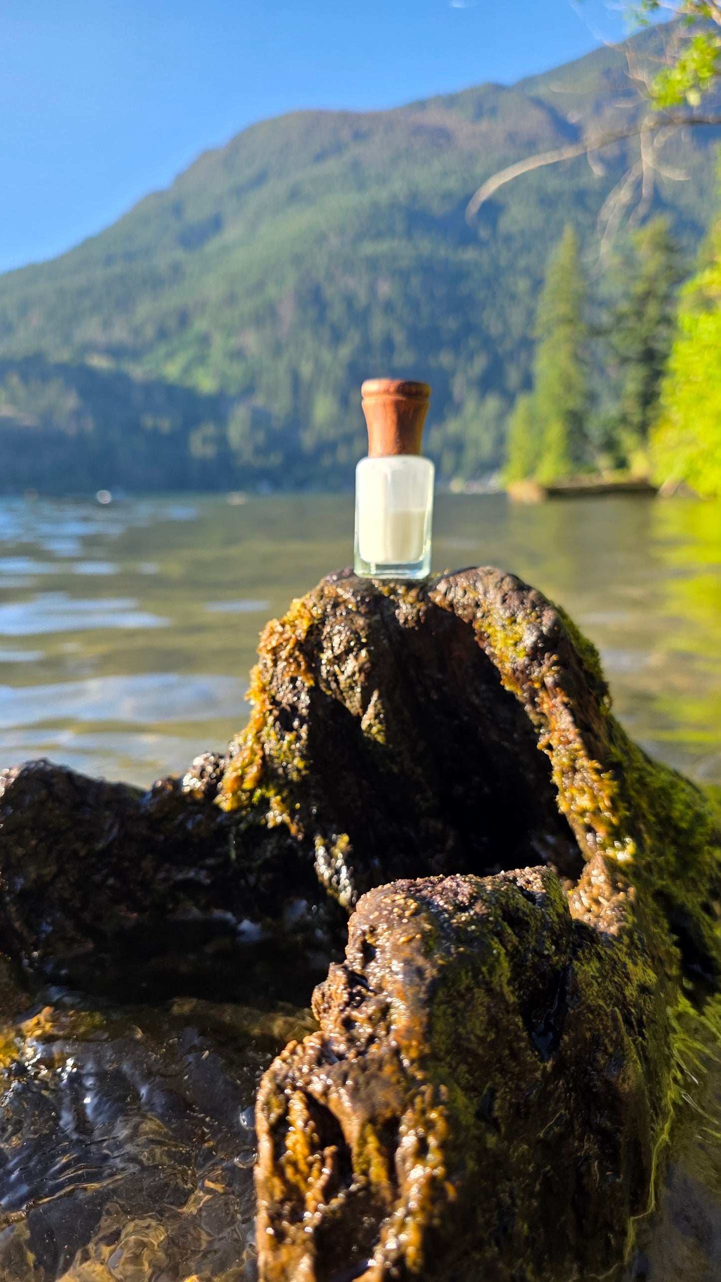Silk Musk — Attar Perfume Oil │ 6ml
