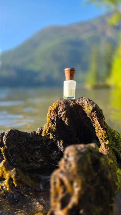 Silk Musk — Attar Perfume Oil │ 6ml