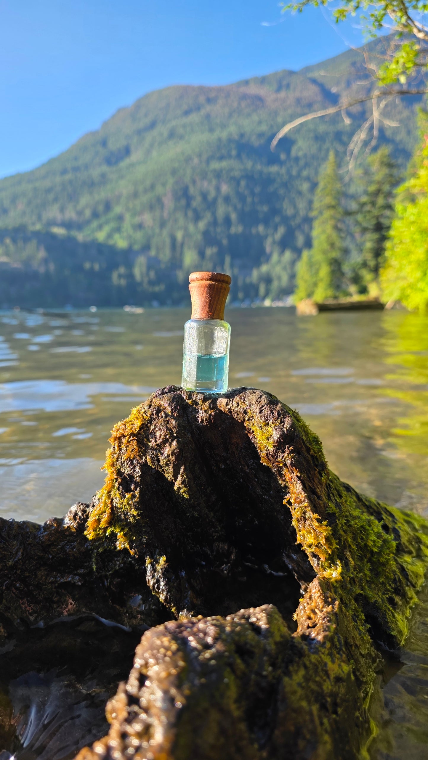 Blue Musk — Attar Perfume Oil │ 6ml