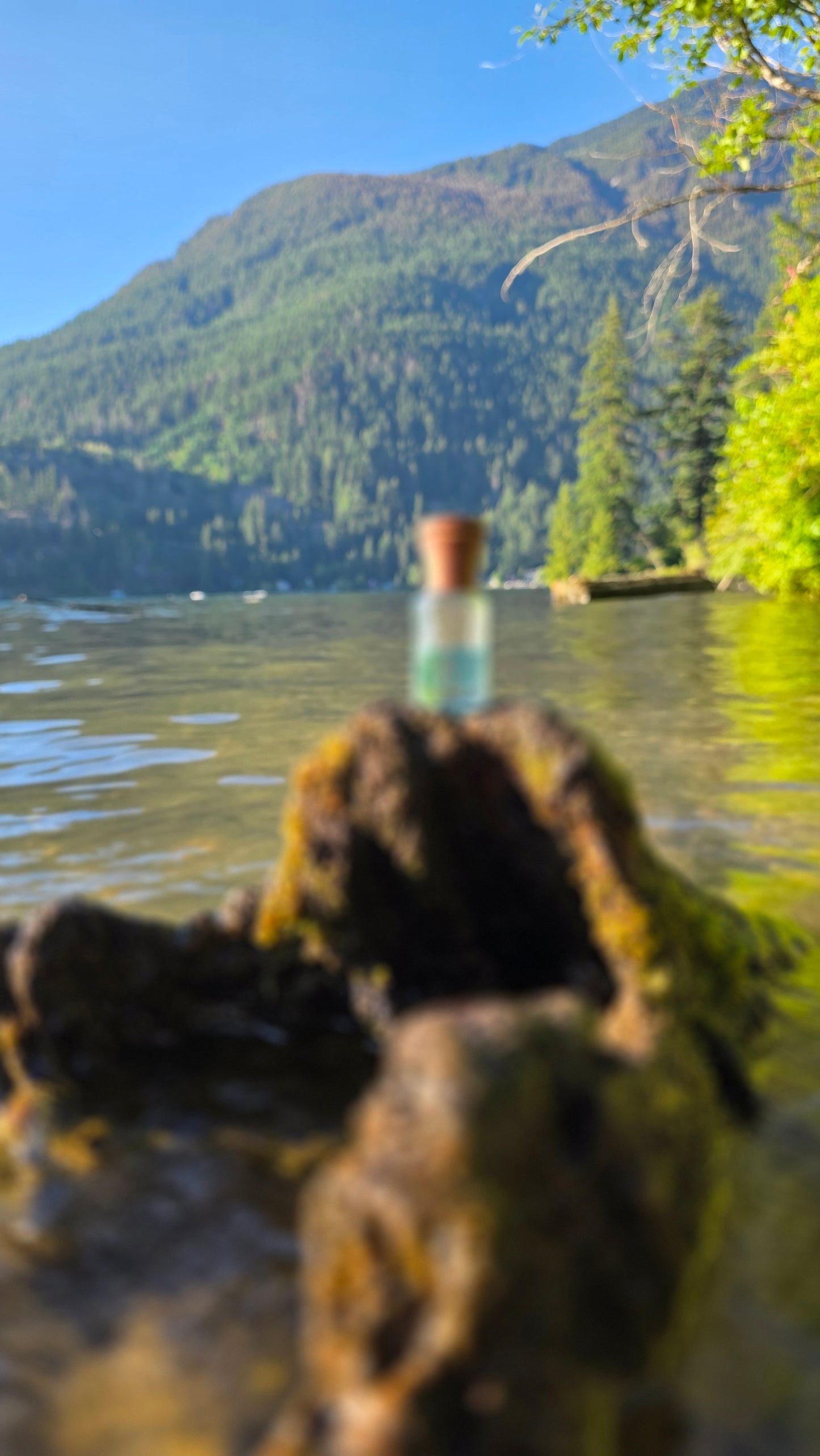 Blue Musk — Attar Perfume Oil │ 6ml