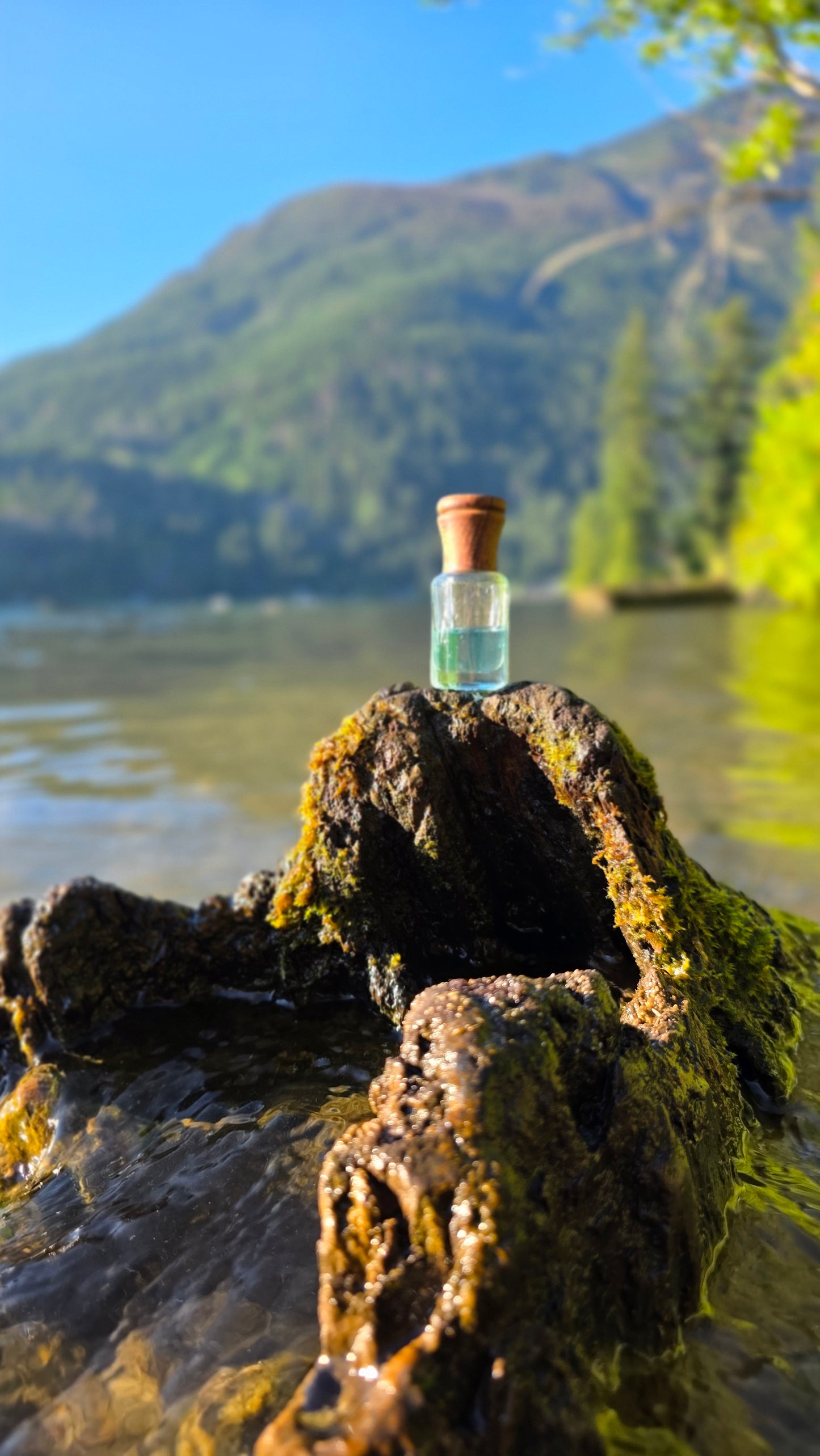 Blue Musk — Attar Perfume Oil │ 6ml